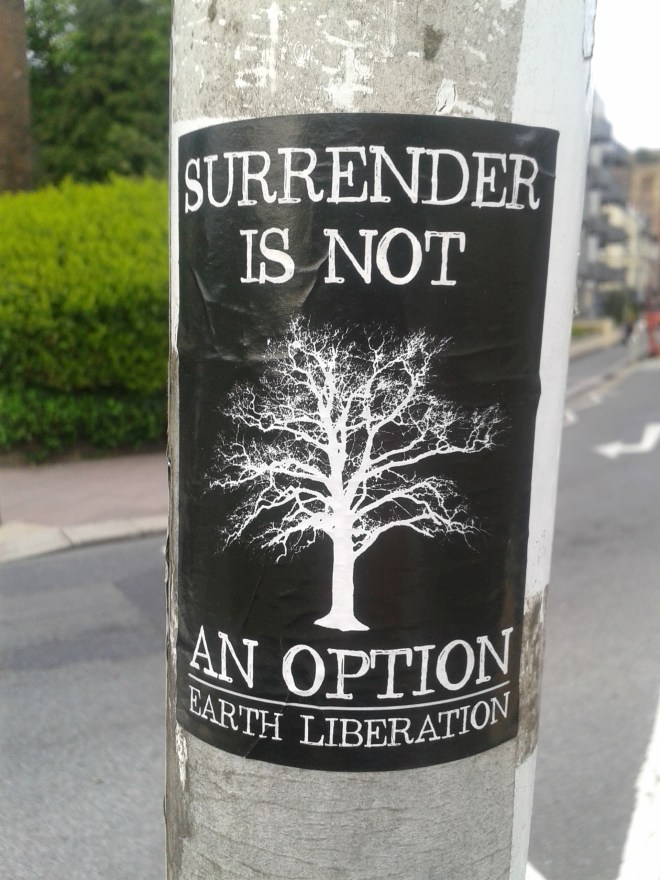 Another cause close to the hearts of many Brightonians is environmentalism. The city elected the first ever Green Party MP in 2010, and had one of the first Green-run councils in the country.