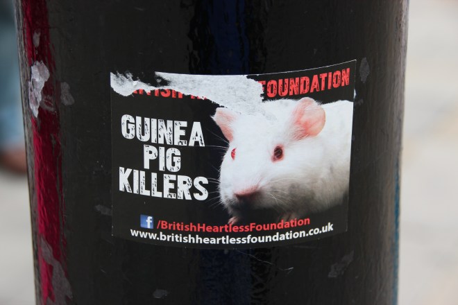 I have seen similar stickers to this one in London. They criticise the British Heart Foundation for using animals in their research.