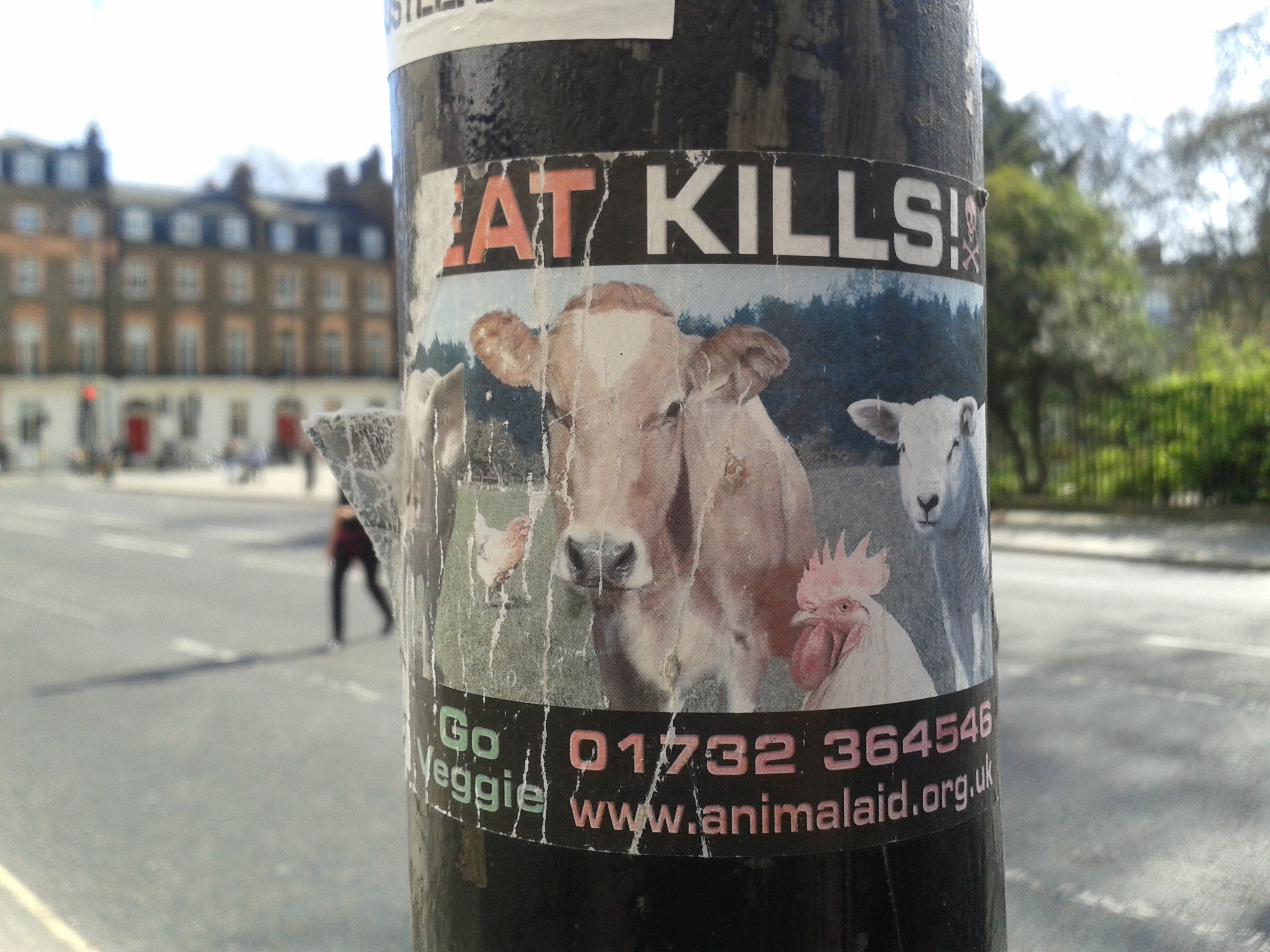 15-04-15-russell-square-2